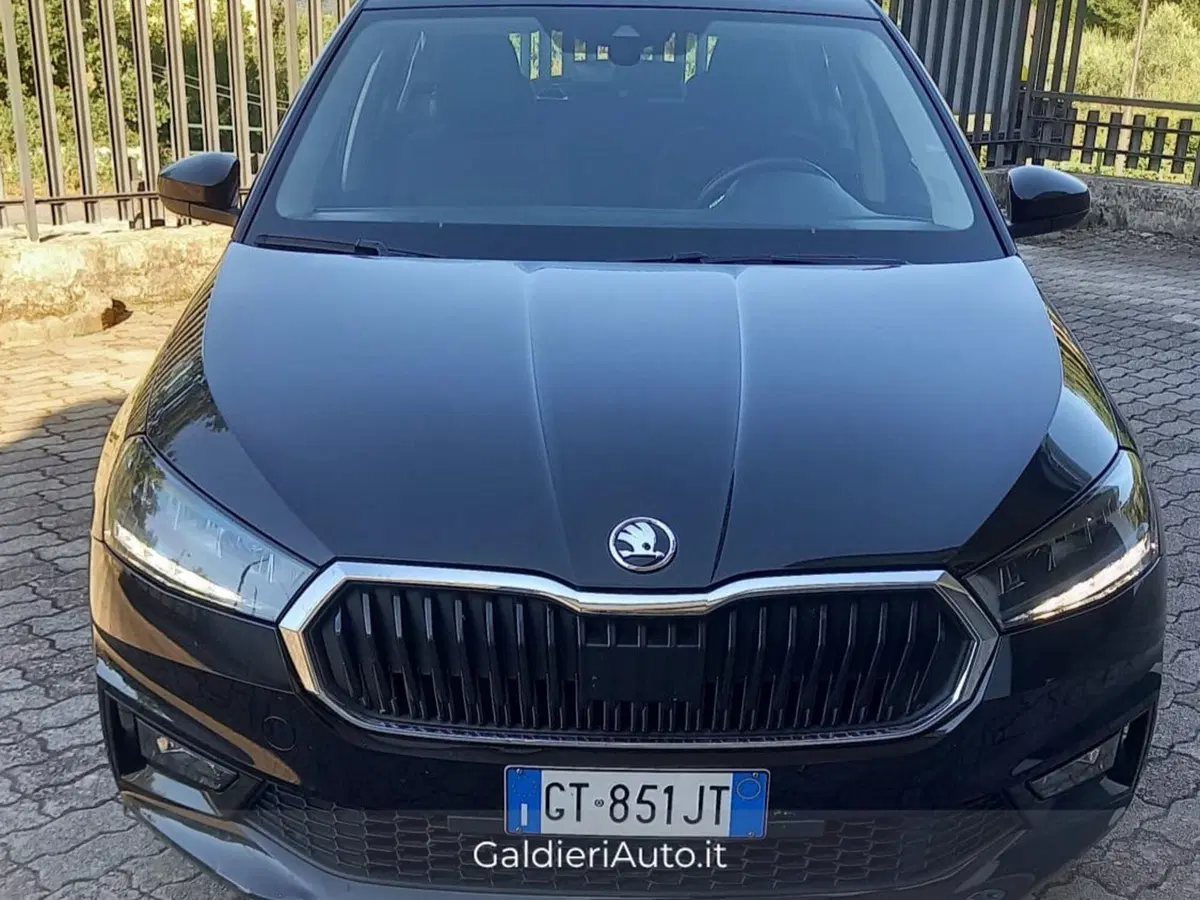 Skoda Fabia usata a Salerno (13)