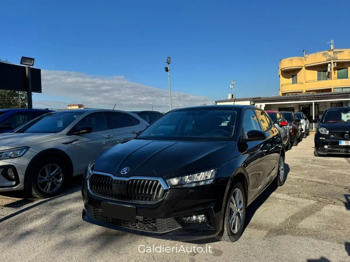 Skoda Fabia usata a Salerno (14)