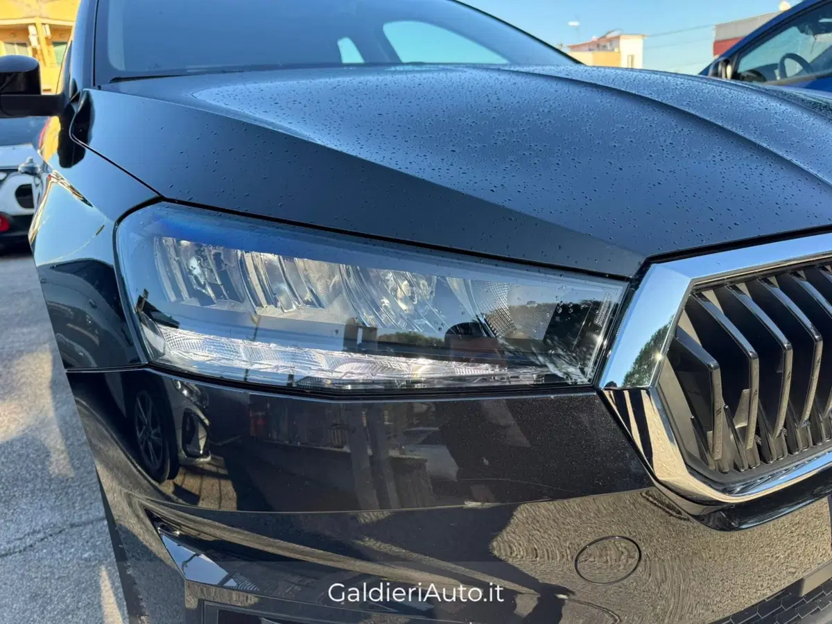 Skoda Fabia usata a Salerno (4)