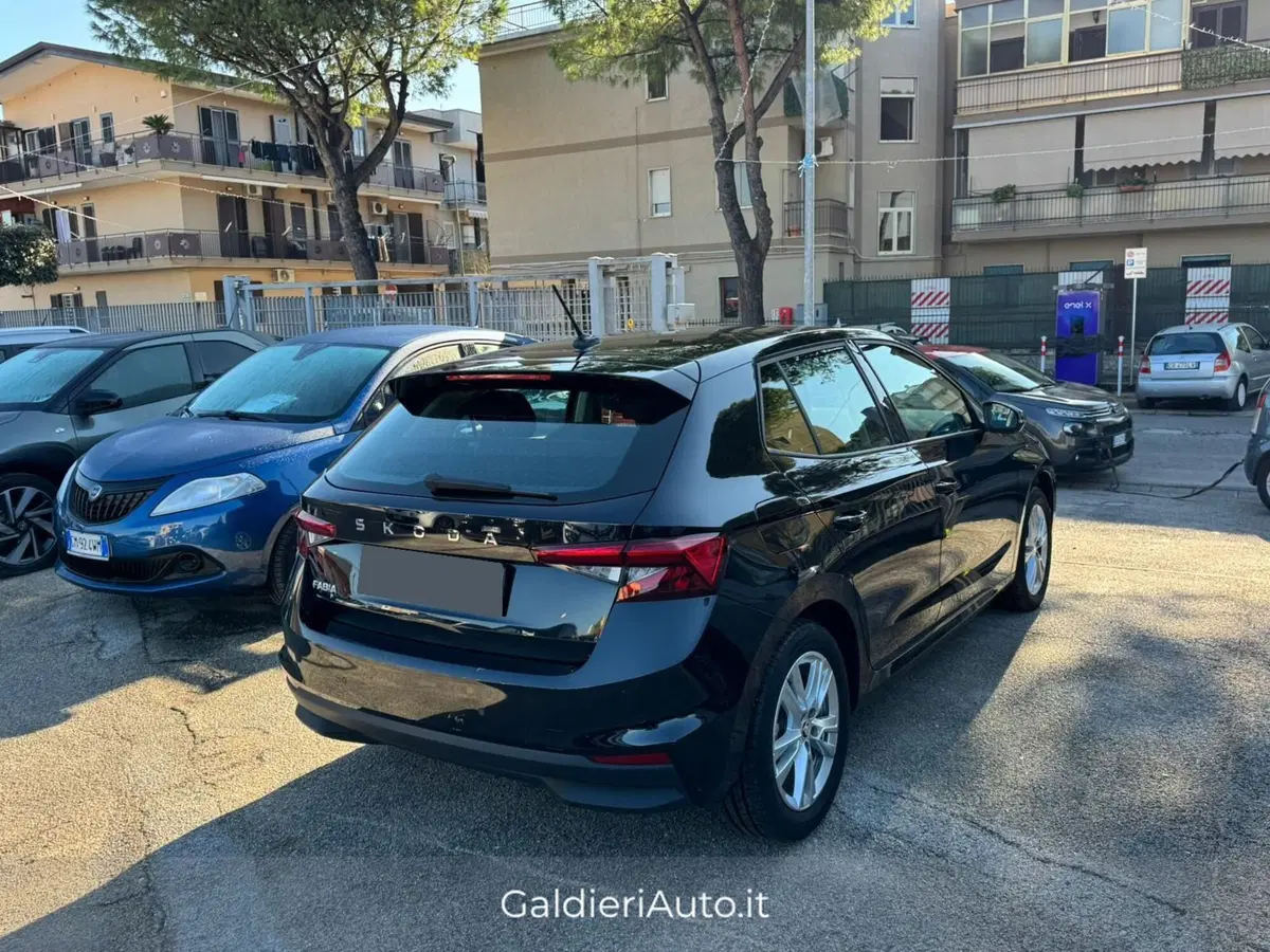 Skoda Fabia usata a Salerno (6)