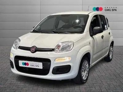 Fiat Panda 1.2 Easy del 2018 usata a Vinci