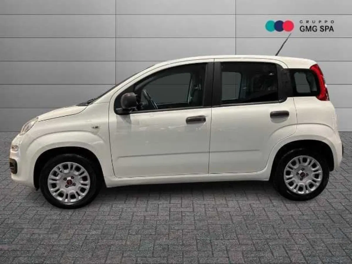 Fiat Panda usata a Firenze (5)