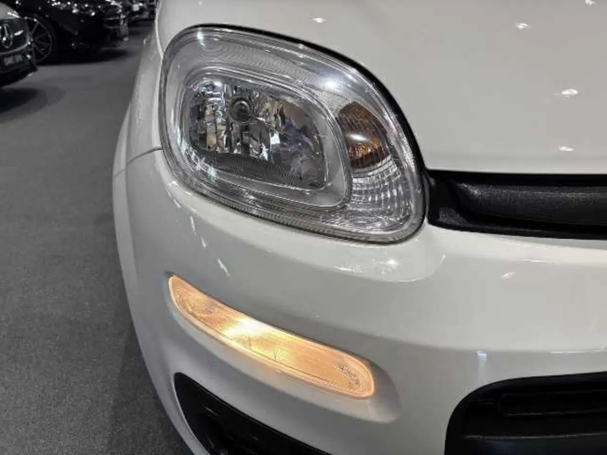 Fiat Panda usata a Firenze (7)