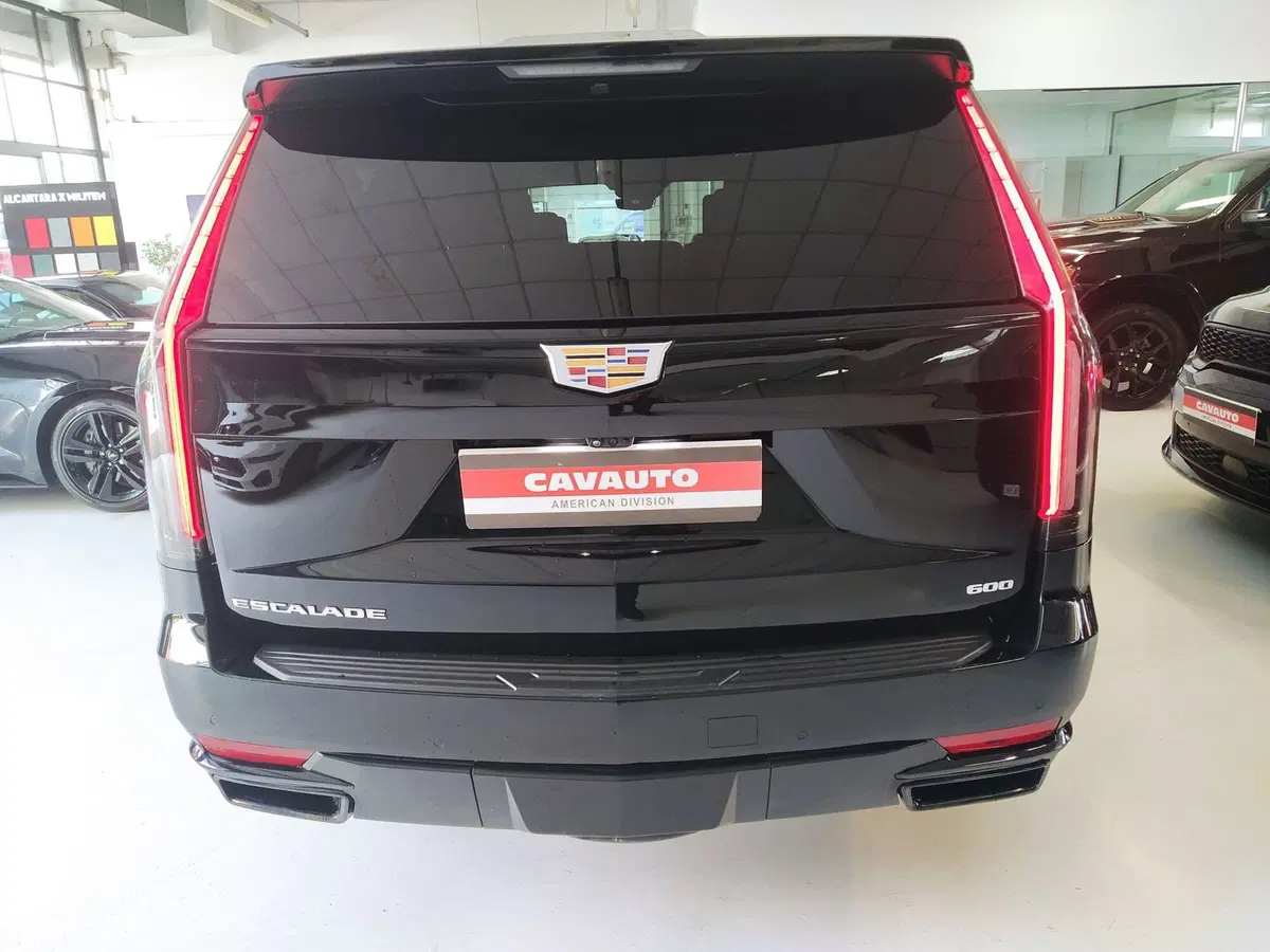 Cadillac Escalade usata a Monza e Brianza (7)