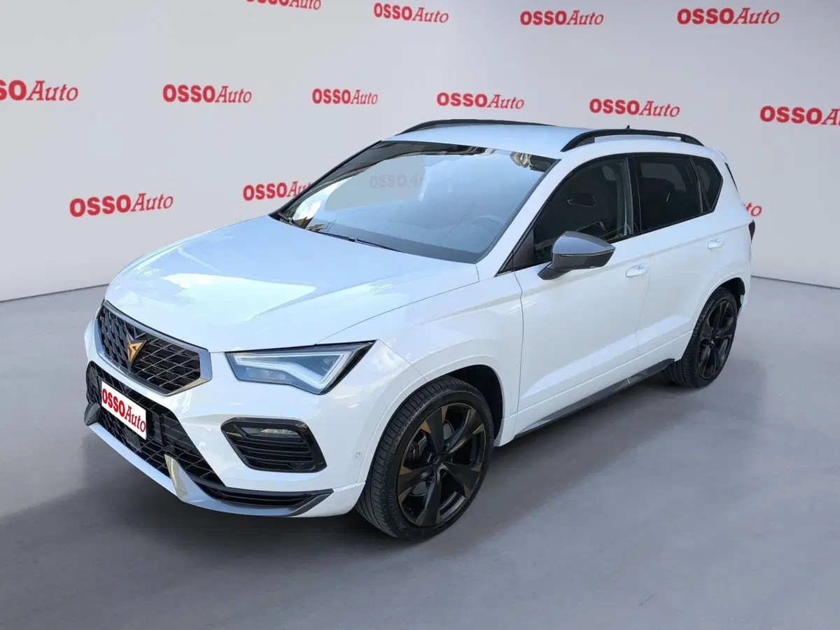 Cupra Ateca usata a Udine
