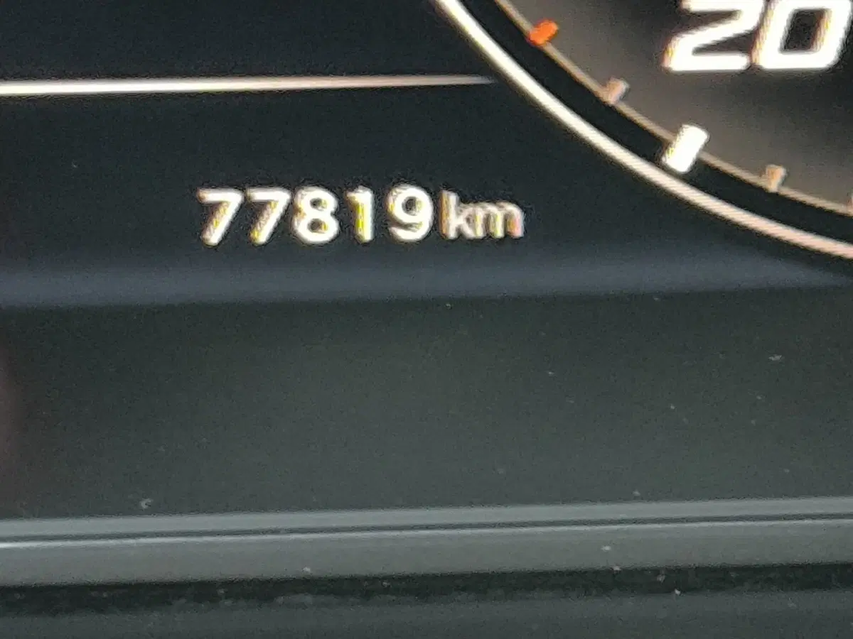 Cupra Ateca usata a Udine (14)
