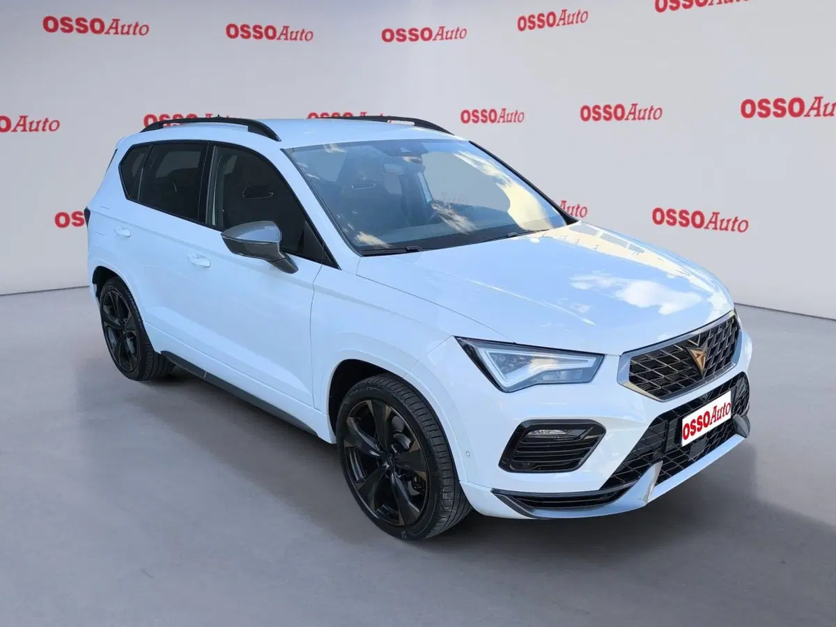 Cupra Ateca usata a Udine (2)
