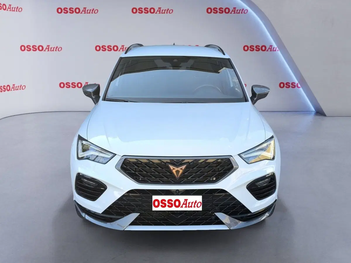 Cupra Ateca usata a Udine (5)