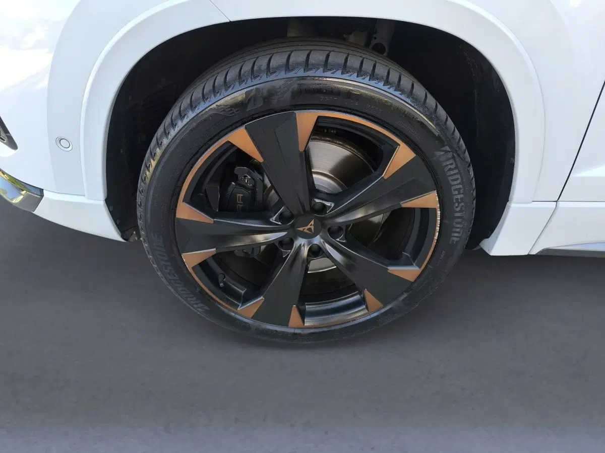 Cupra Ateca usata a Udine (7)