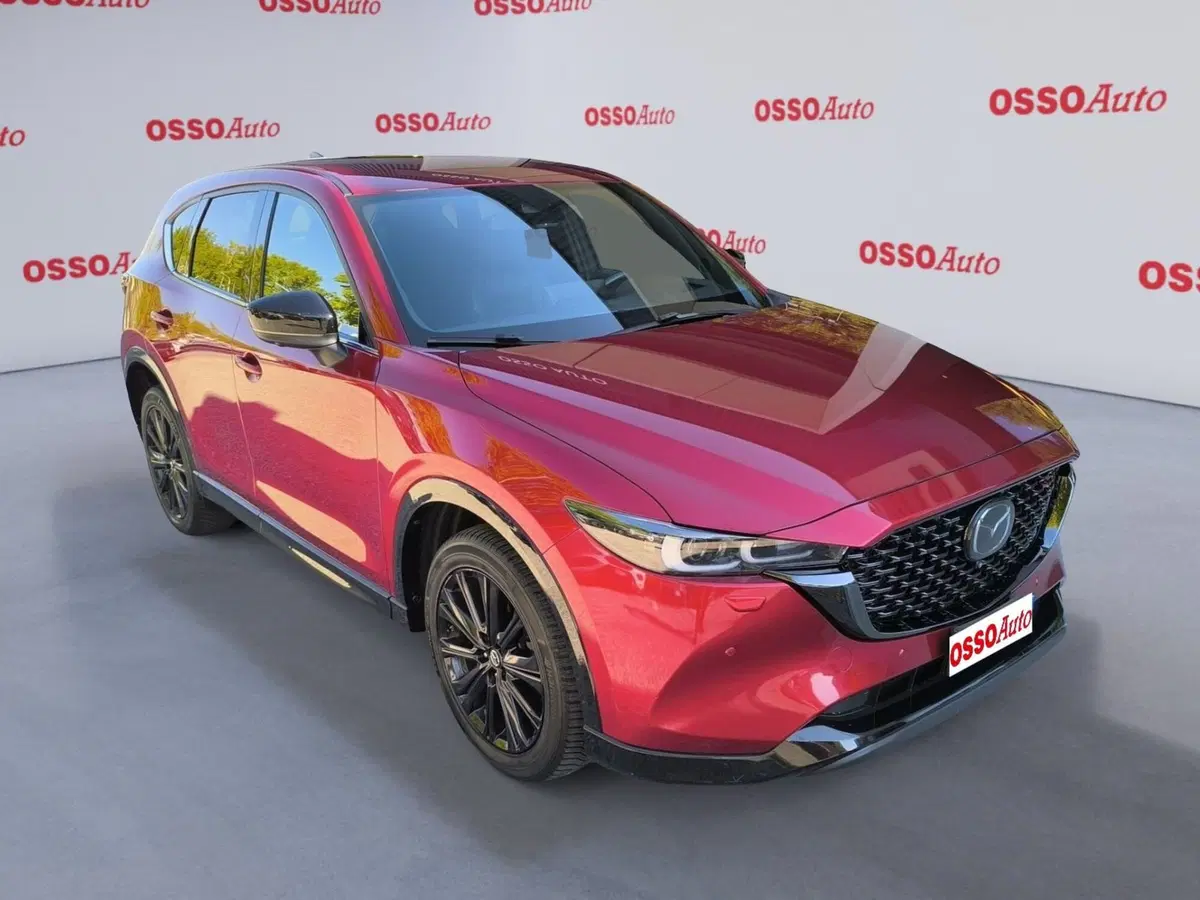 Mazda CX-5 usata a Udine (2)