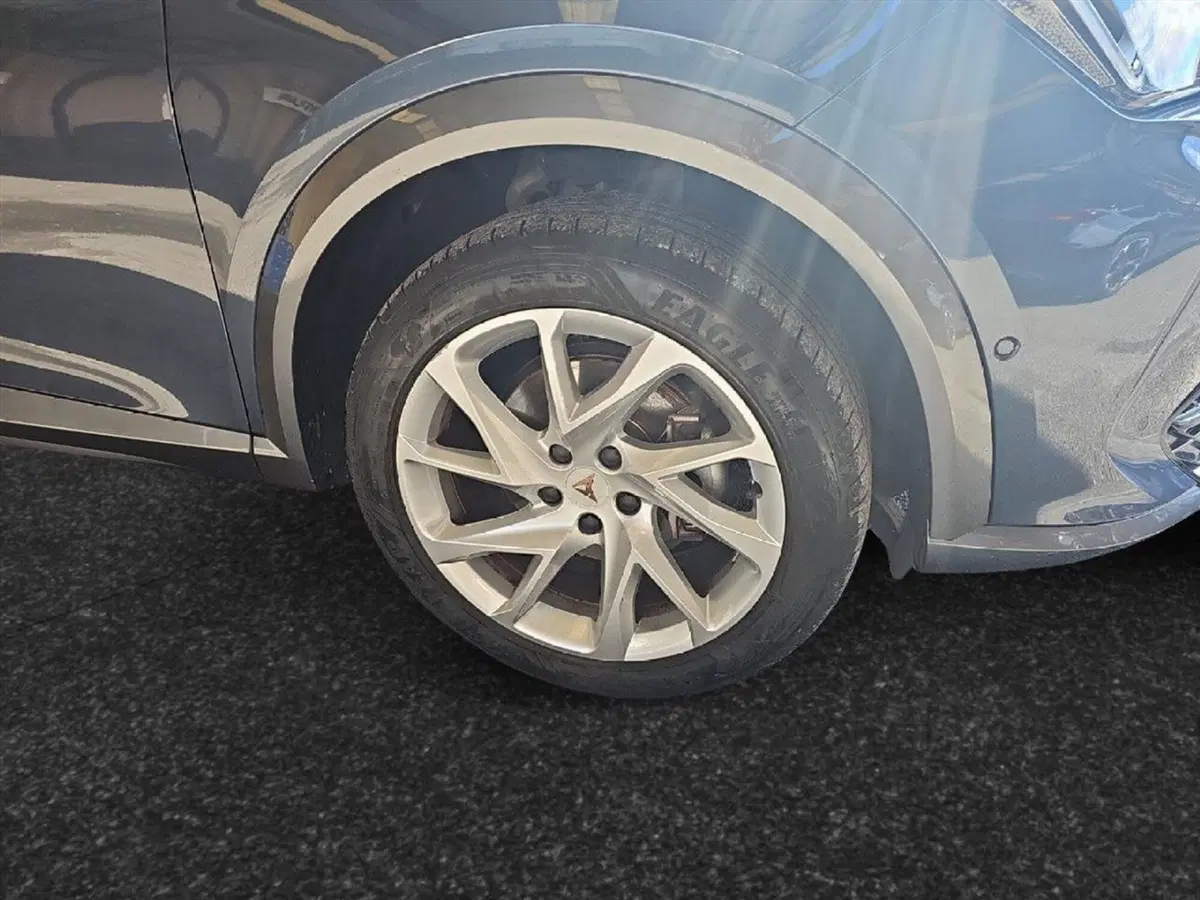 Cupra Formentor usata a Lecco (19)