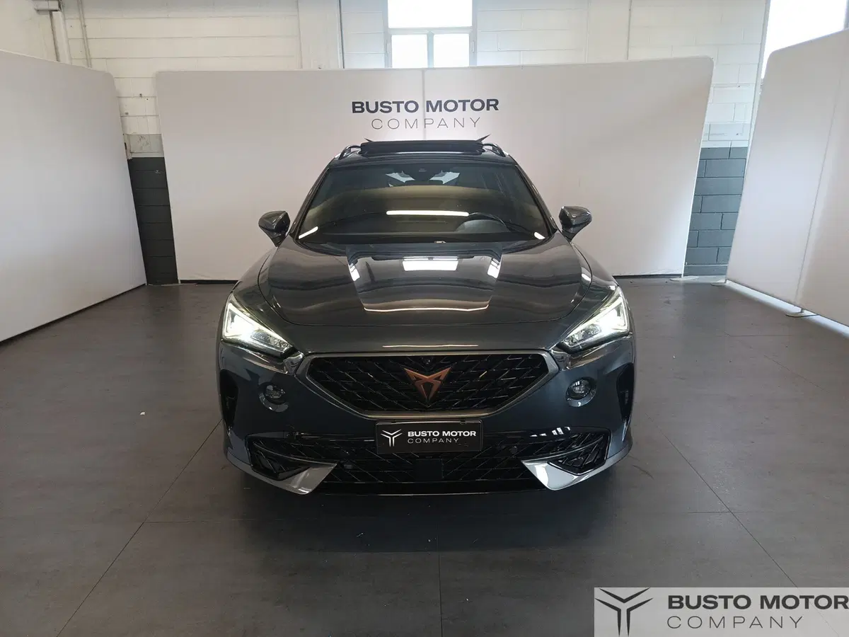 Cupra Formentor usata a Varese (2)