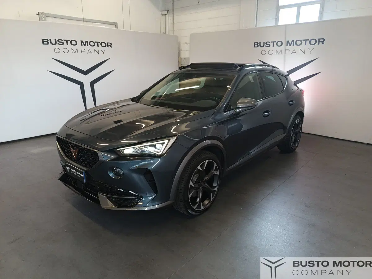 Cupra Formentor usata a Varese (3)
