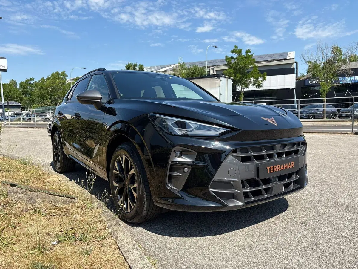 Cupra Terramar usata a Bologna (3)