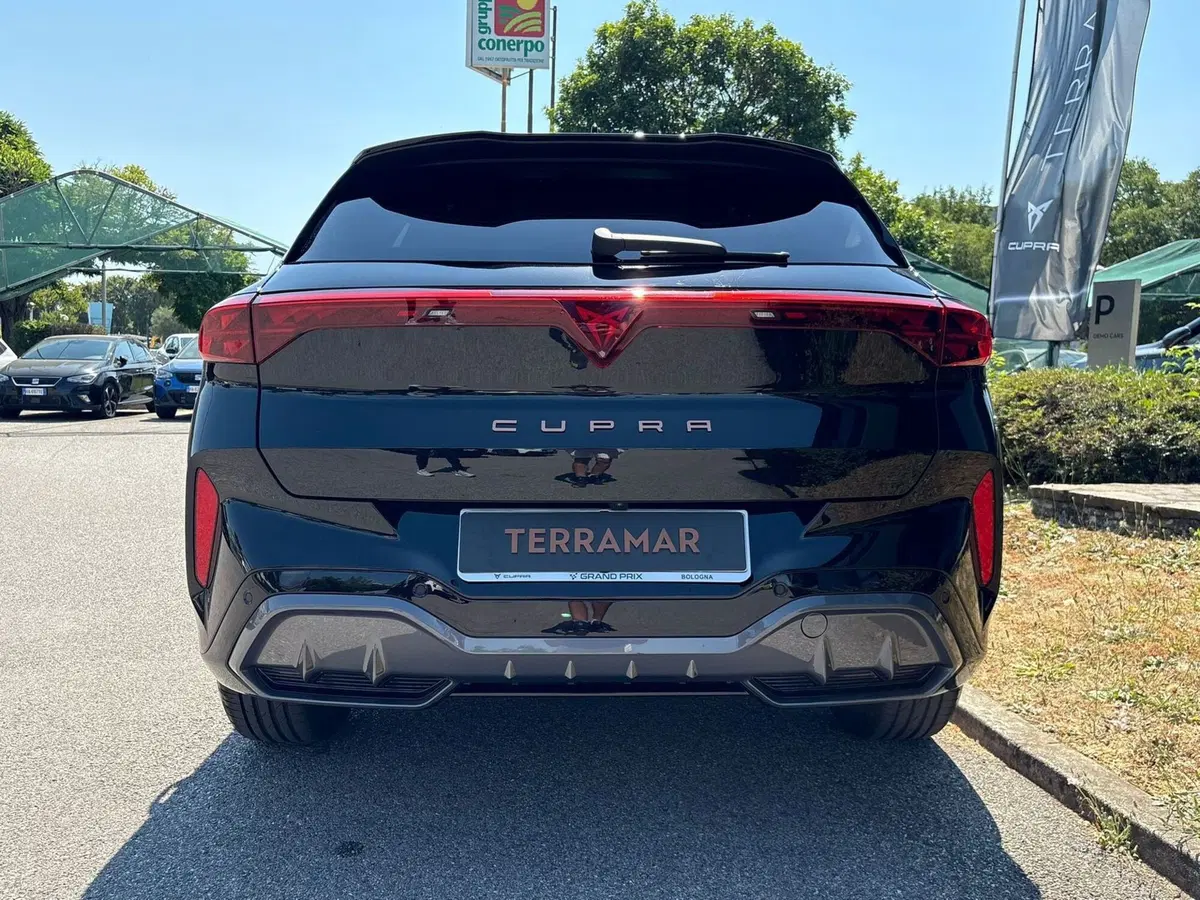 Cupra Terramar usata a Bologna (5)
