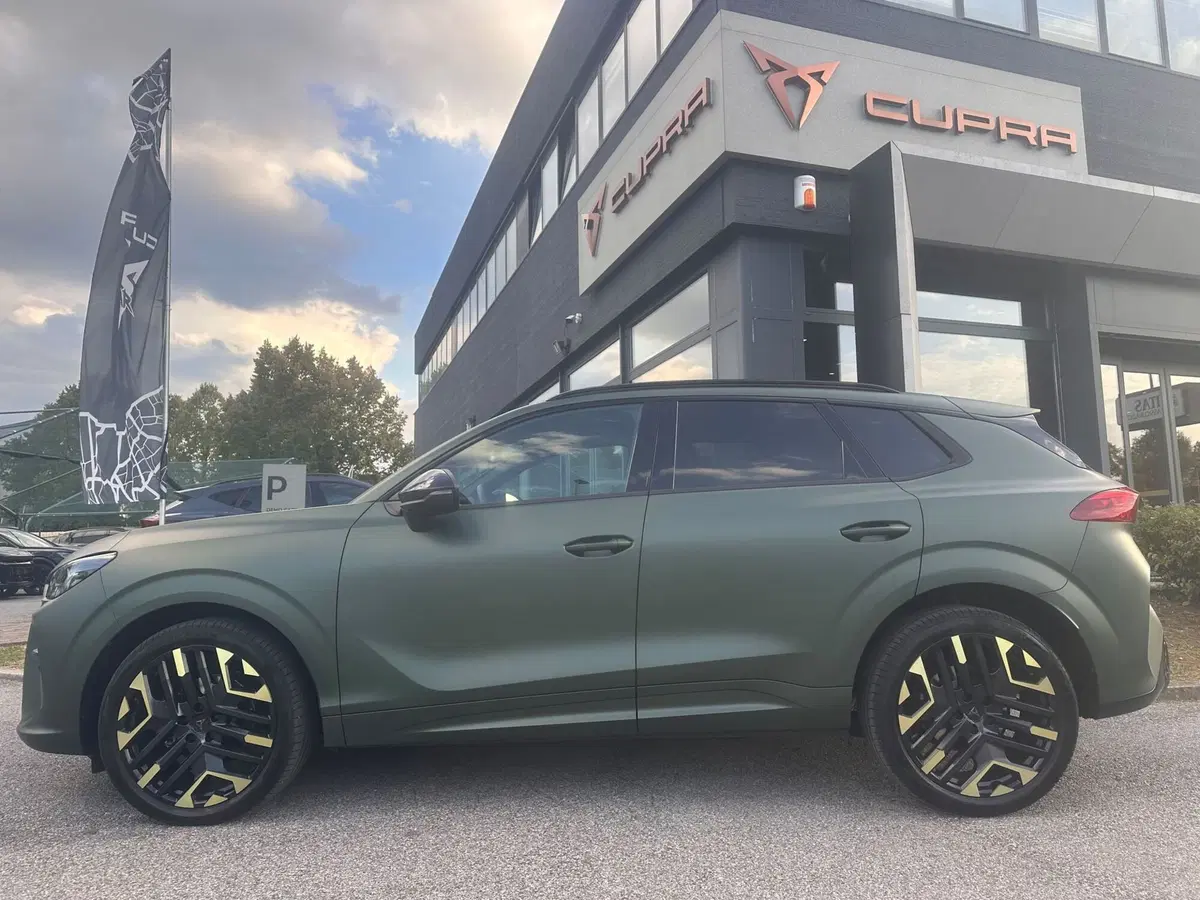 Cupra Terramar usata a Bologna (6)