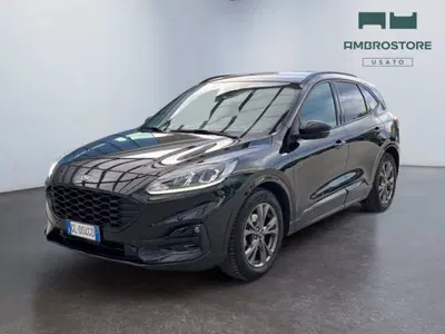 Ford Kuga 1.5 EcoBlue 120 CV 2WD ST-Line del 2022 usata a Segrate
