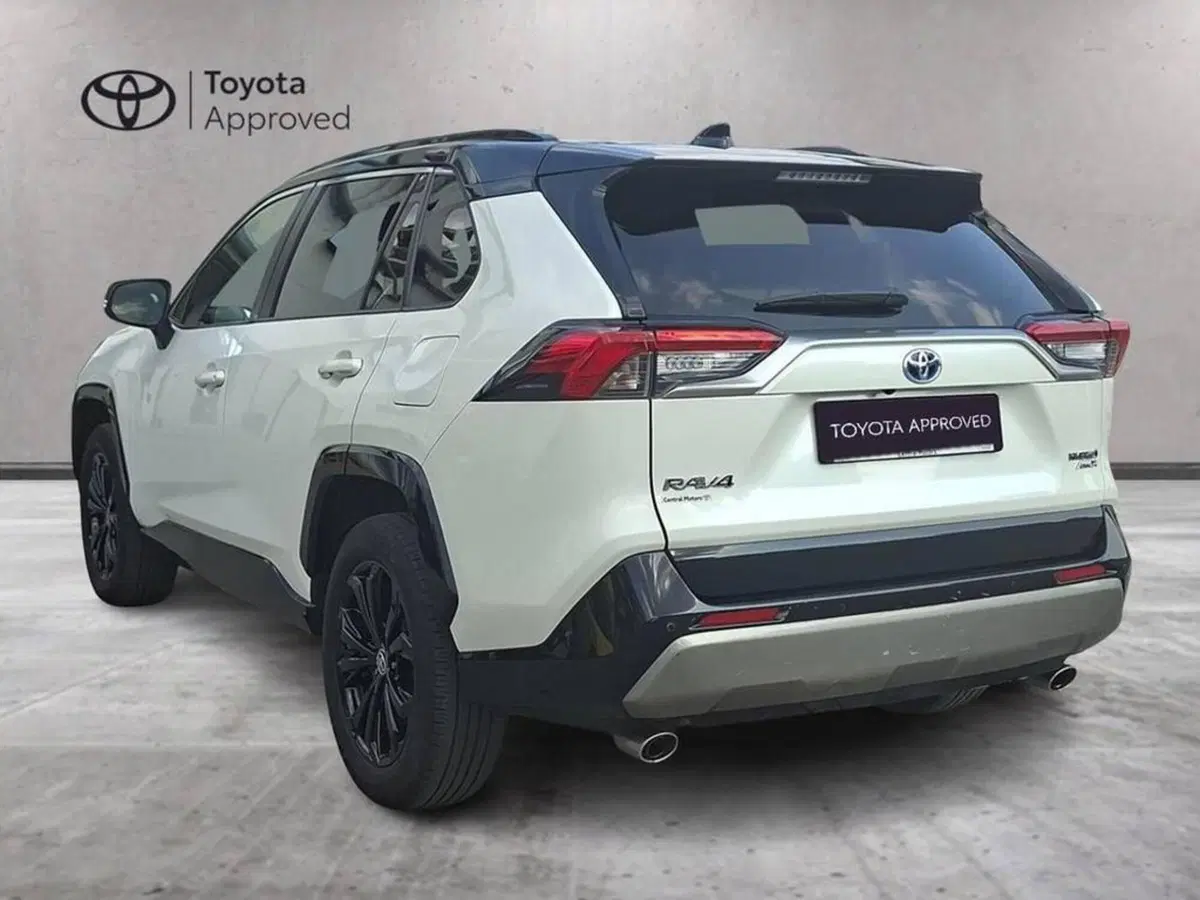 Toyota Rav4 usata a Torino (2)
