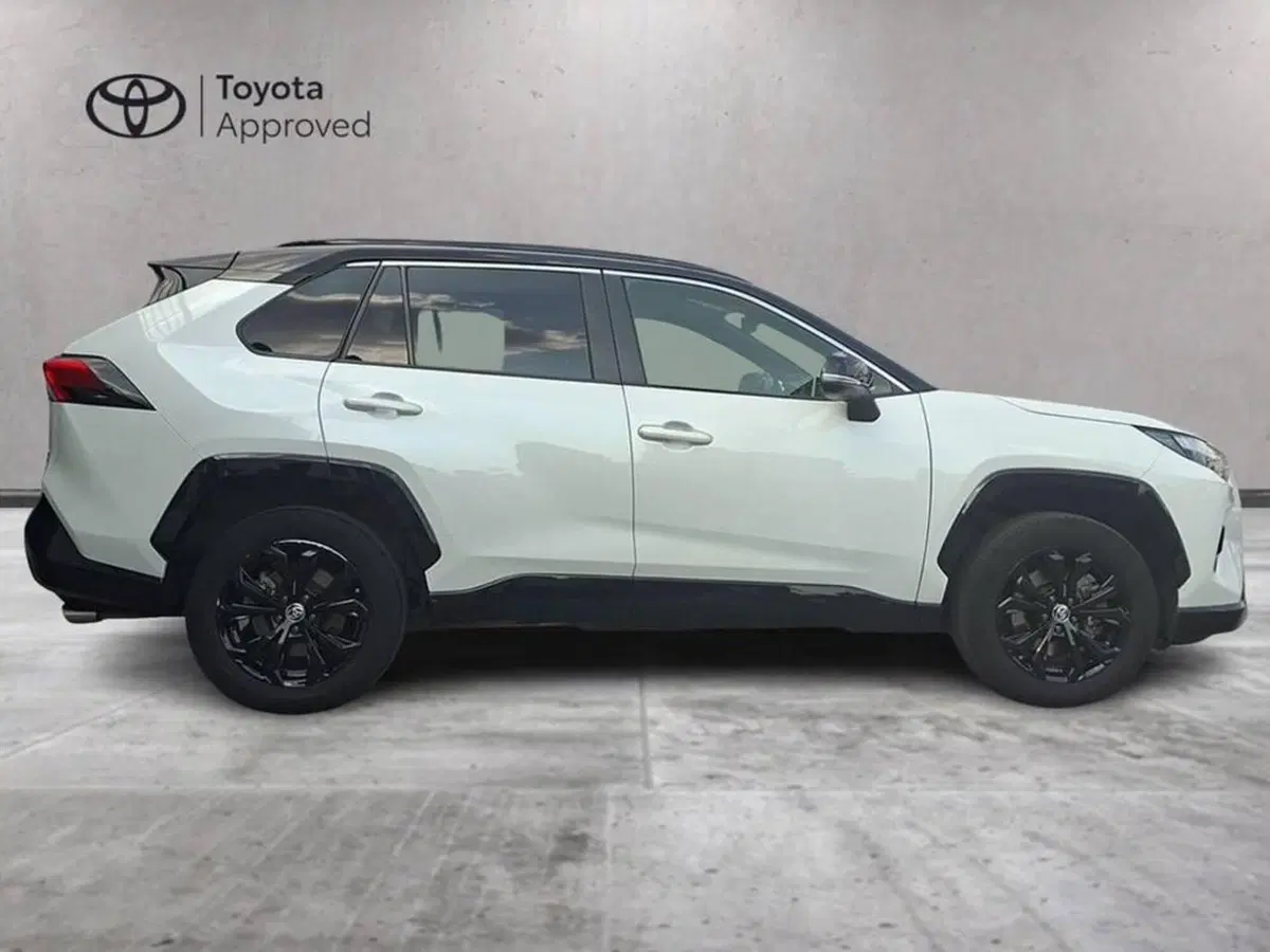 Toyota Rav4 usata a Torino (3)