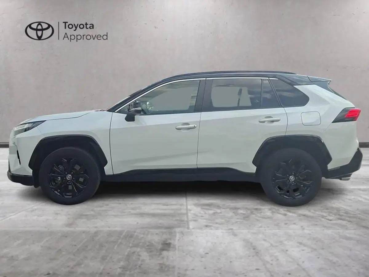 Toyota Rav4 usata a Torino (4)