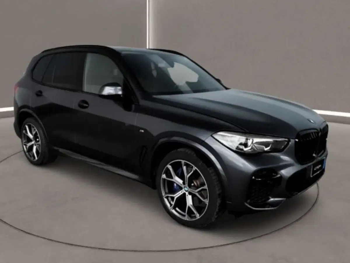 BMW X5 usata a Caltanissetta (3)