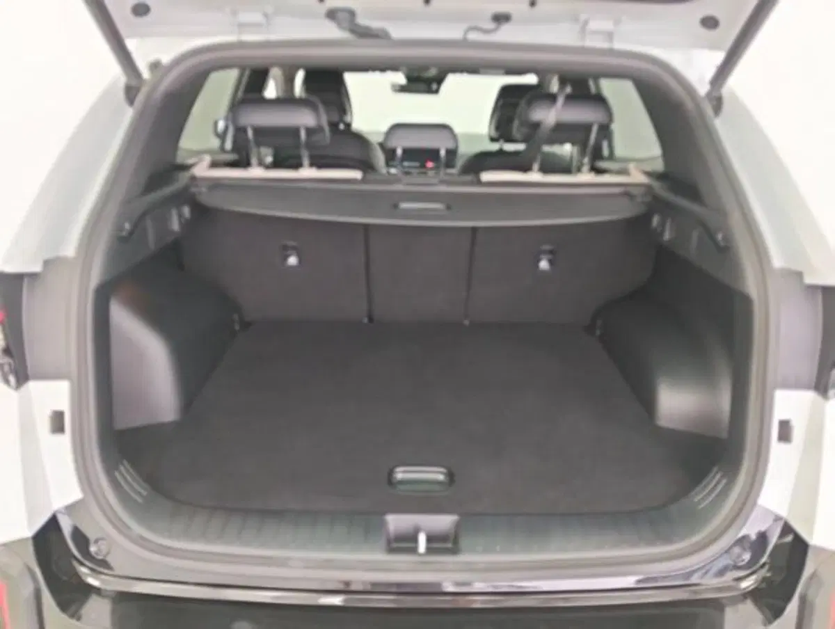 Kia Sportage usata a Como (19)