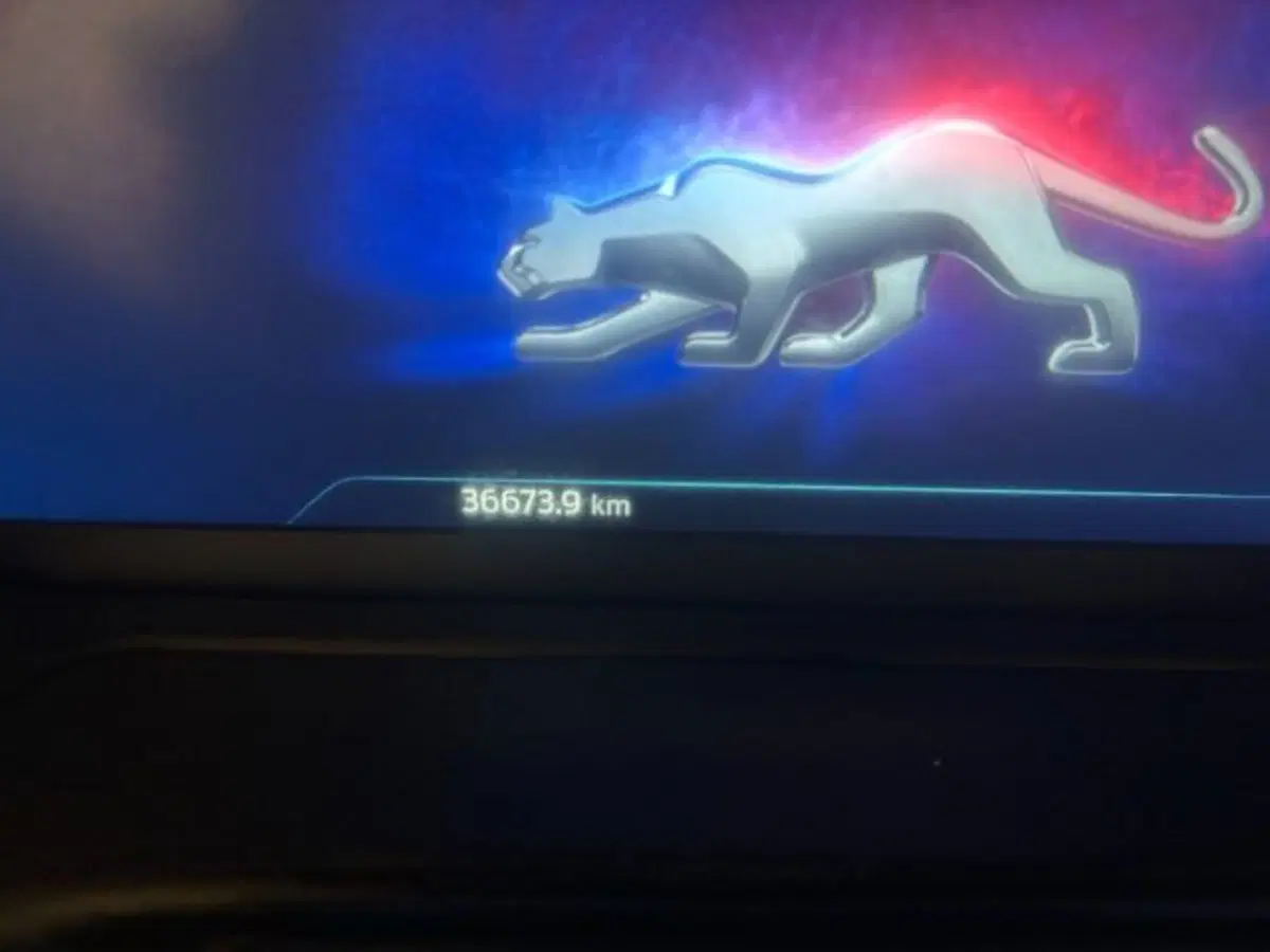 Ford Puma usata a Cuneo (17)