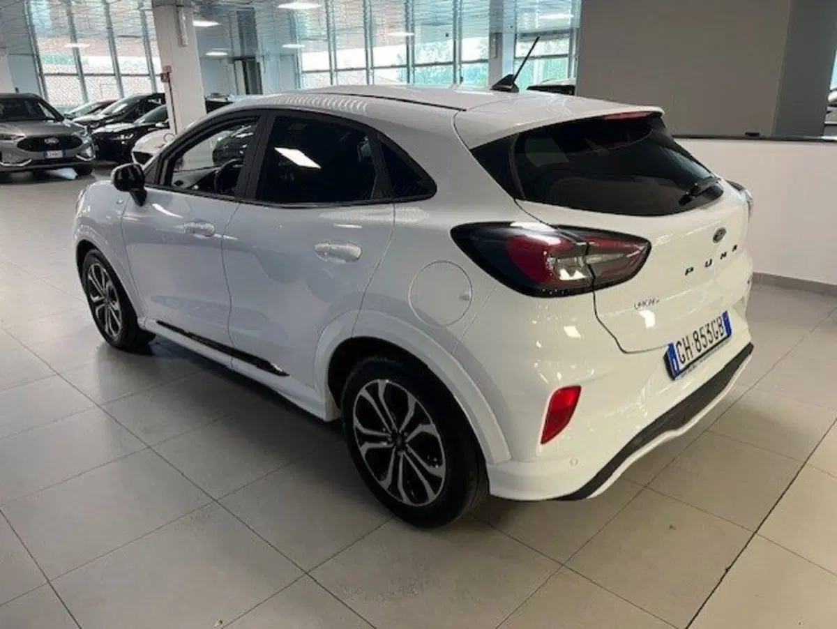 Ford Puma usata a Cuneo (6)