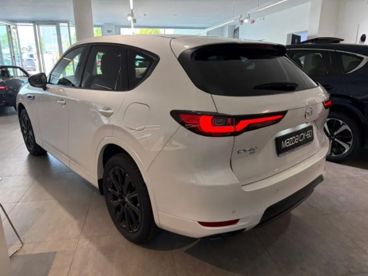 Mazda CX-60 nuova a Cuneo (5)
