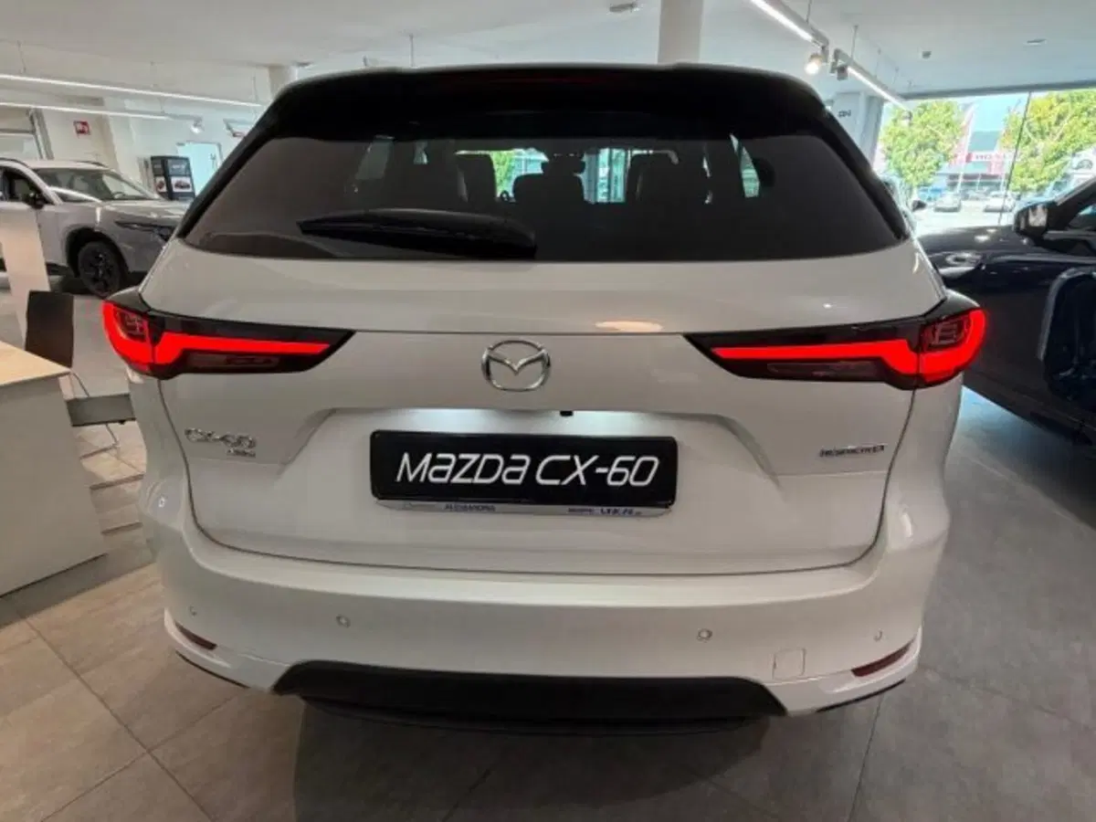 Mazda CX-60 nuova a Cuneo (6)