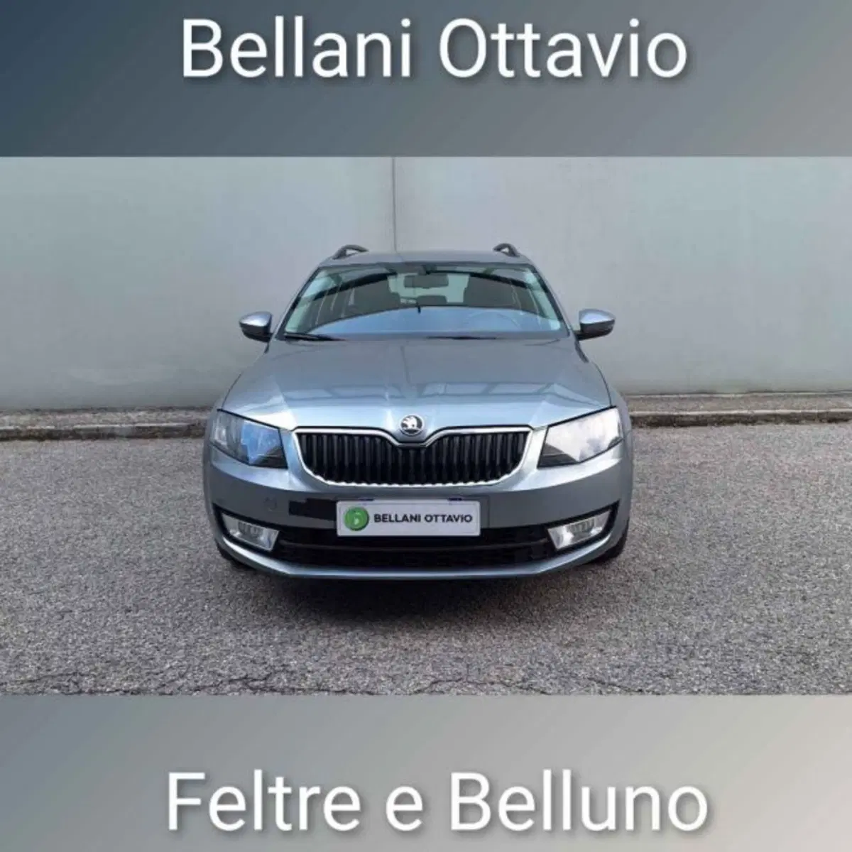 Skoda Octavia Station Wagon usata a Belluno (2)