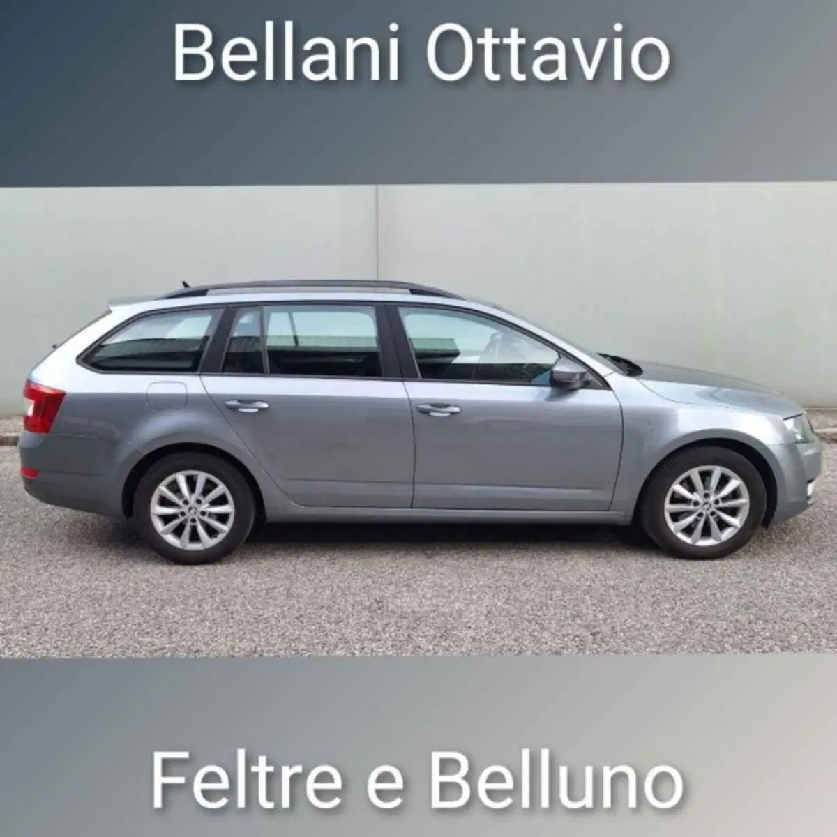 Skoda Octavia Station Wagon usata a Belluno (3)