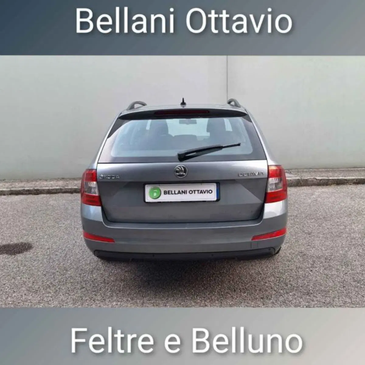 Skoda Octavia Station Wagon usata a Belluno (5)