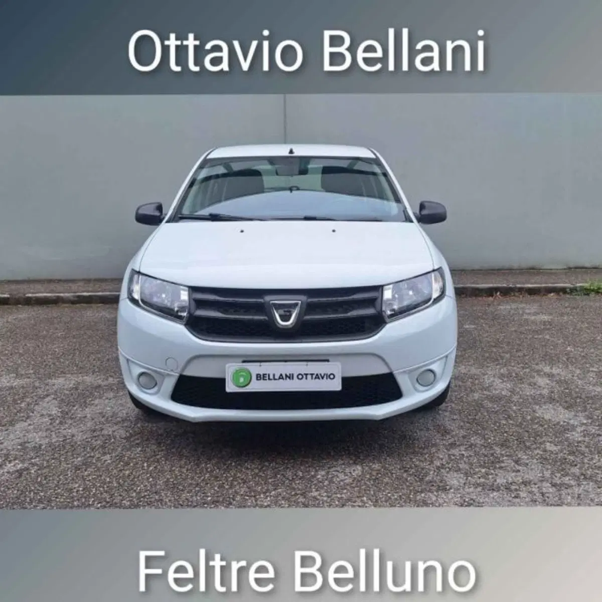 Dacia Sandero usata a Belluno (2)