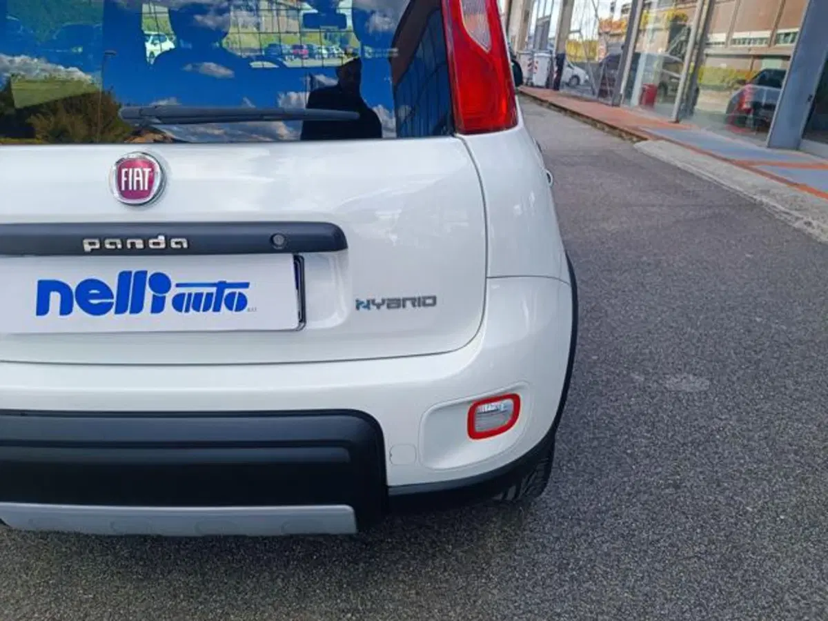 Fiat Panda usata a Pisa (10)