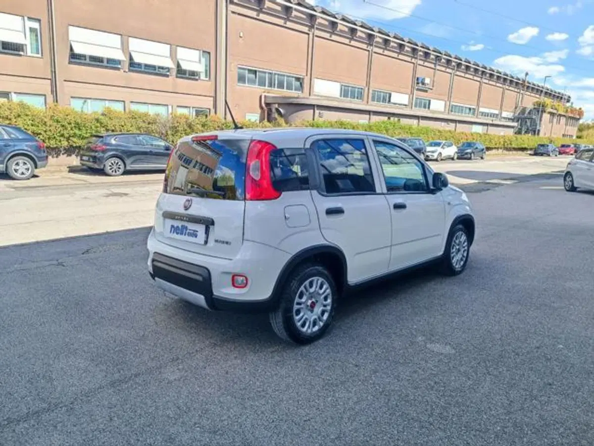 Fiat Panda usata a Pisa (12)