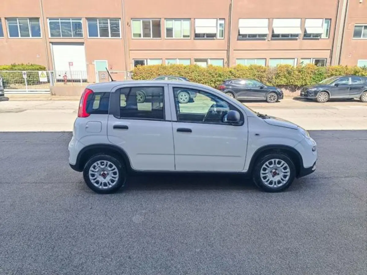 Fiat Panda usata a Pisa (13)