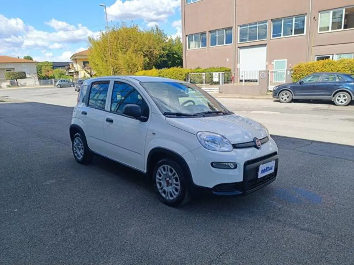 Fiat Panda usata a Pisa (14)