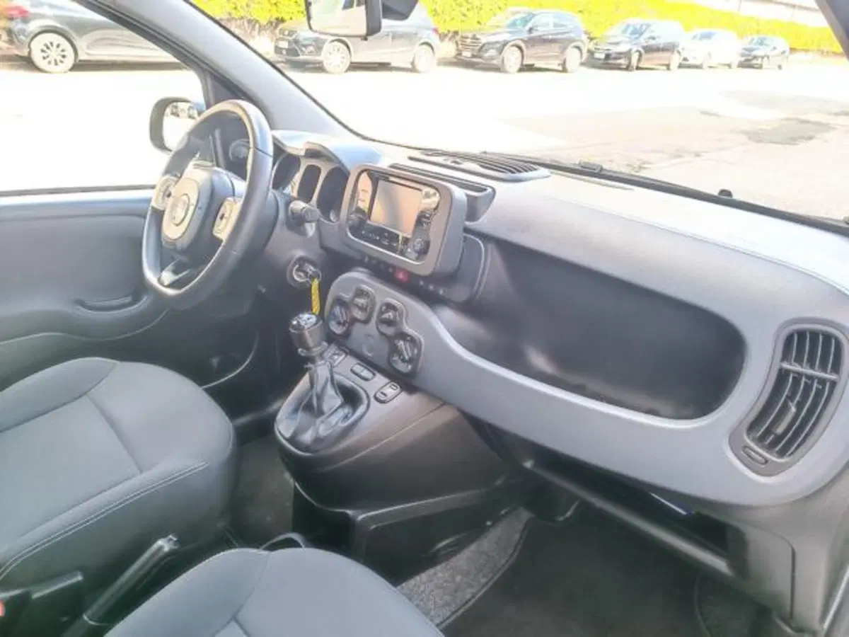 Fiat Panda usata a Pisa (16)