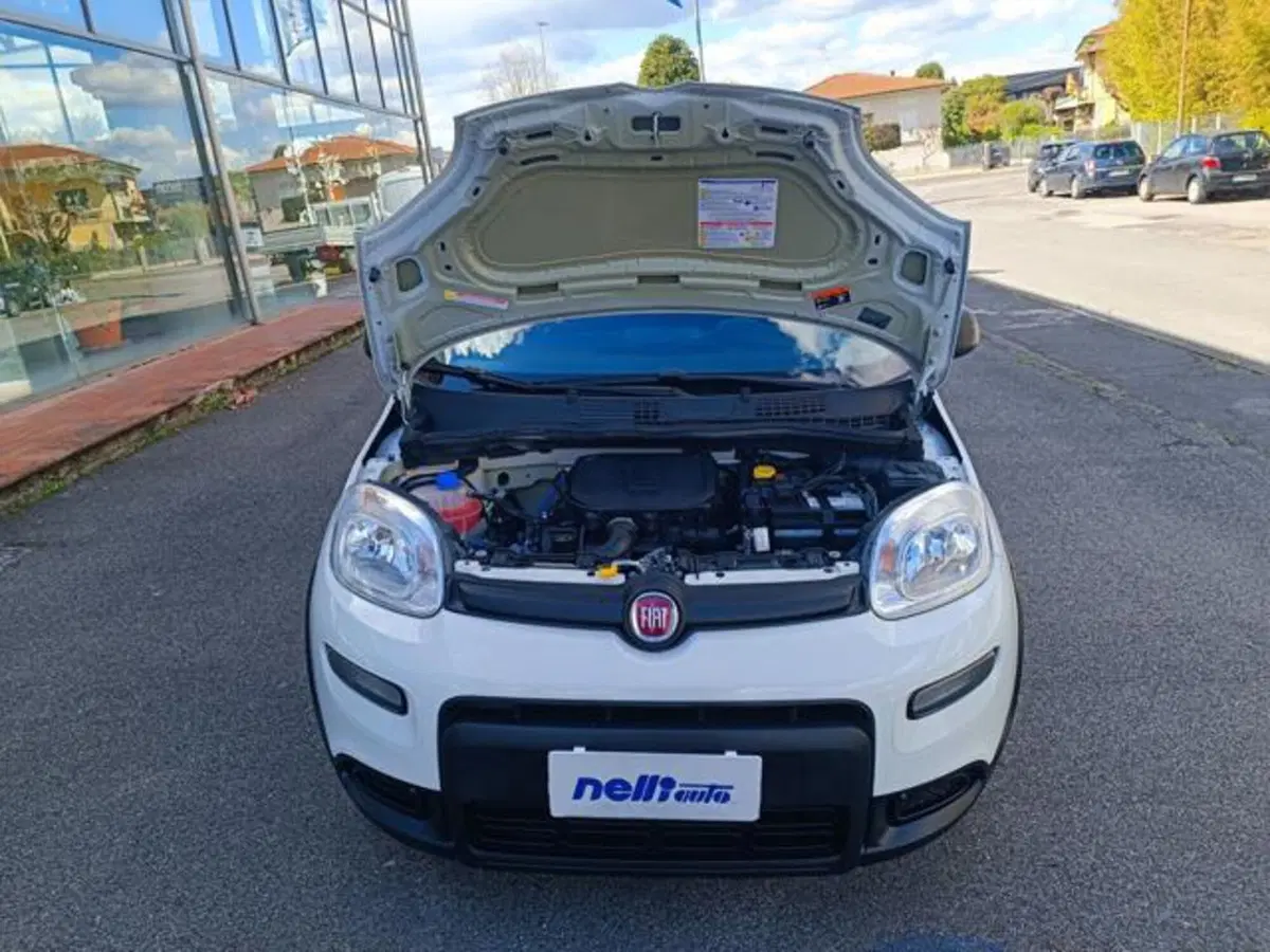 Fiat Panda usata a Pisa (3)