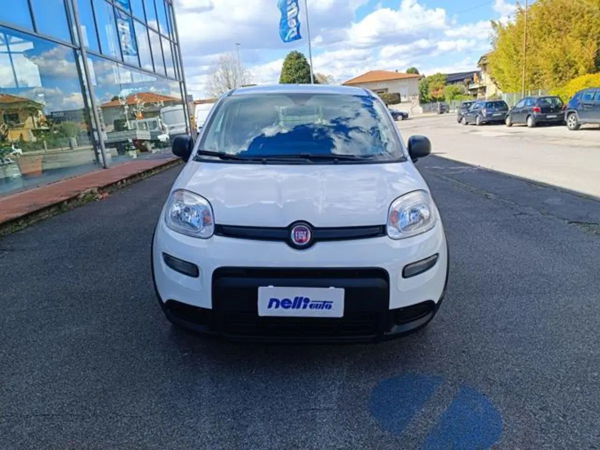 Fiat Panda usata a Pisa (4)