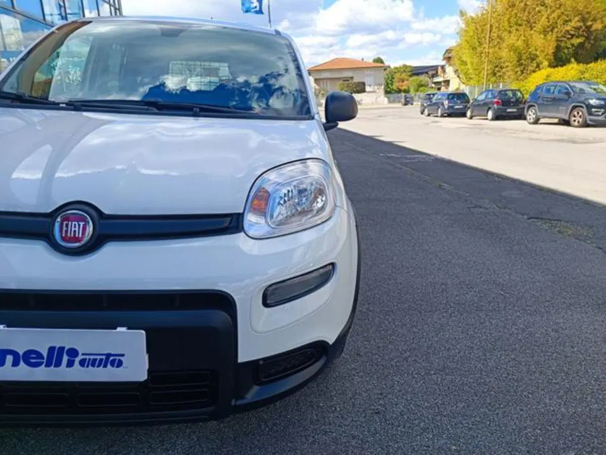 Fiat Panda usata a Pisa (5)