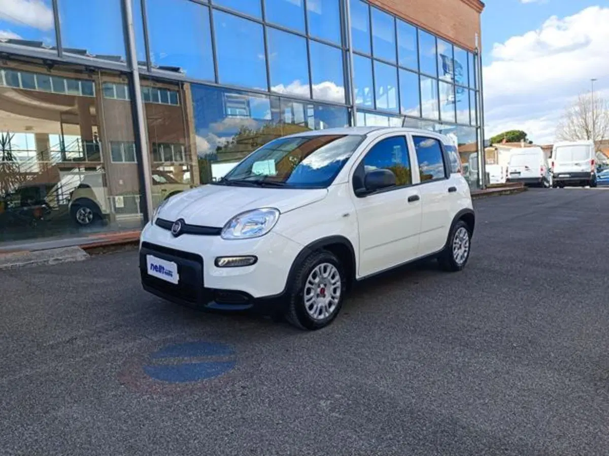 Fiat Panda usata a Pisa (6)