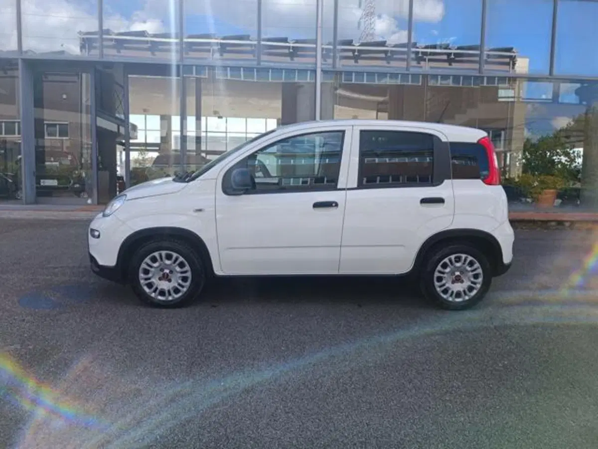 Fiat Panda usata a Pisa (7)