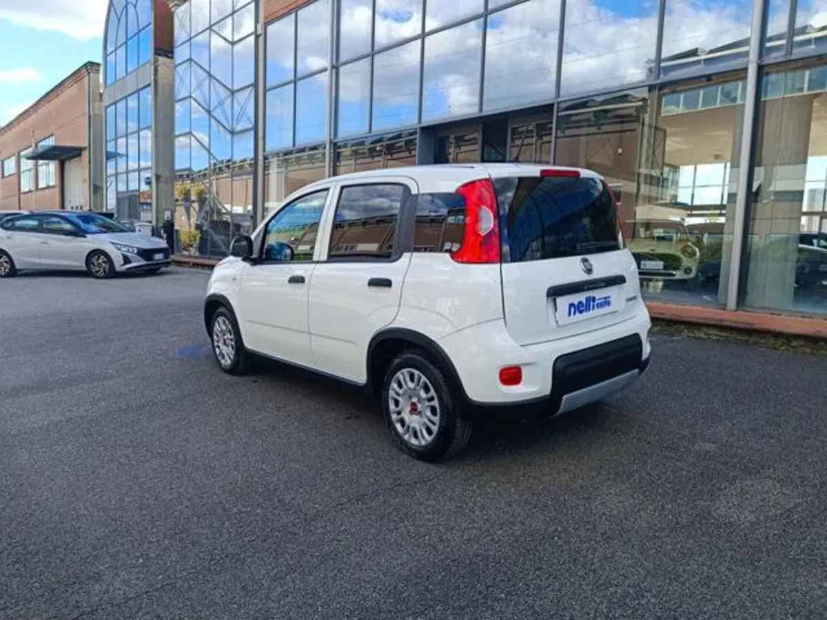 Fiat Panda usata a Pisa (8)