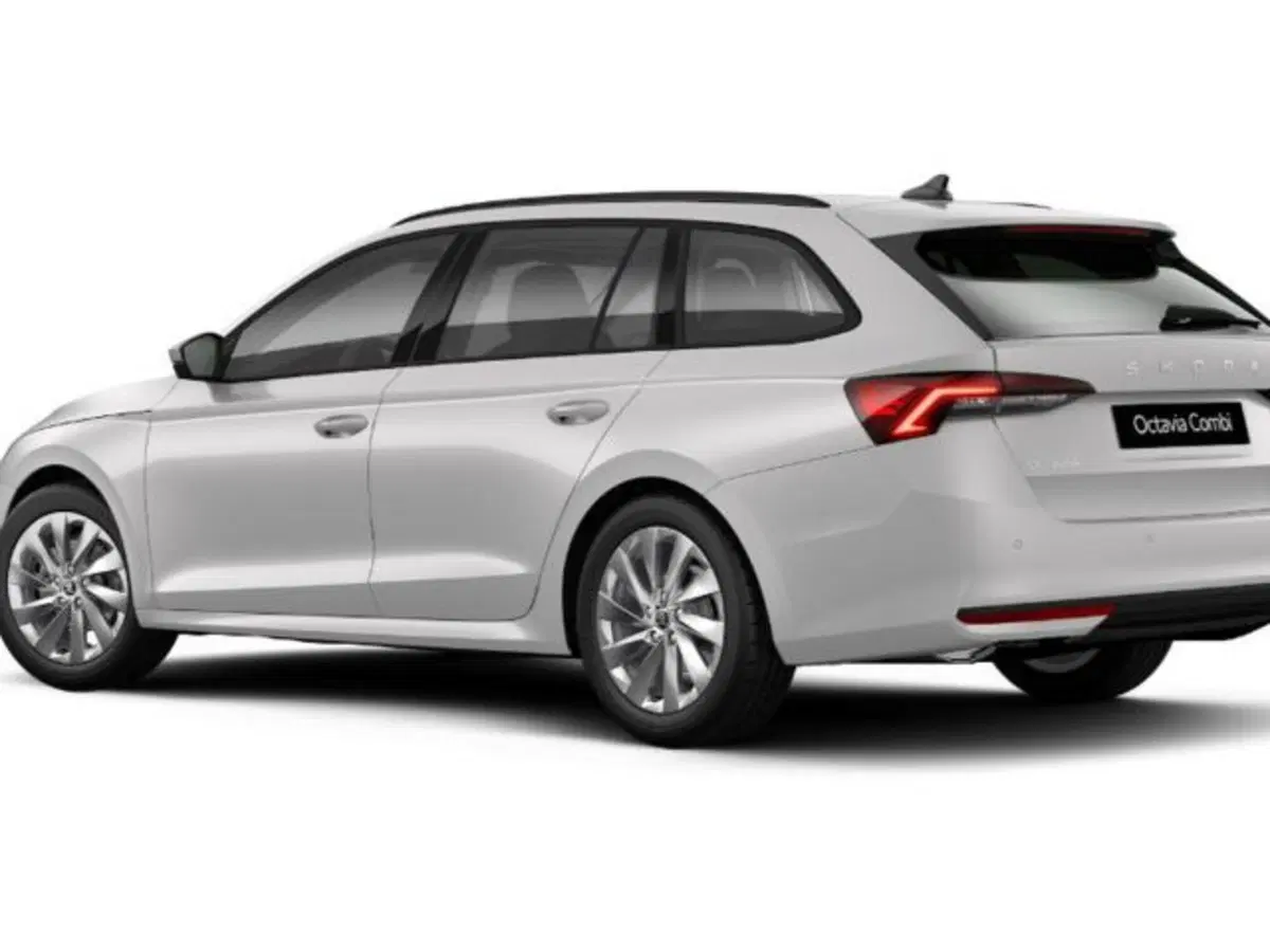 Skoda Octavia Station Wagon nuova a Vicenza (3)