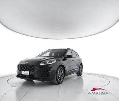 Ford Kuga 1.5 EcoBlue 120 CV 2WD ST-Line del 2022 usata a Corciano