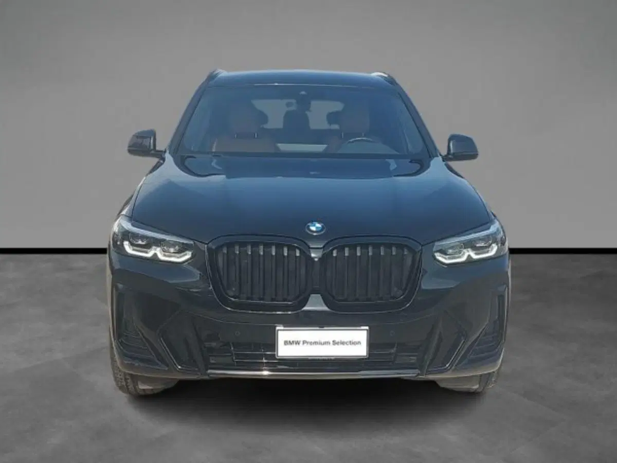 BMW X3 usata a Lecce (7)