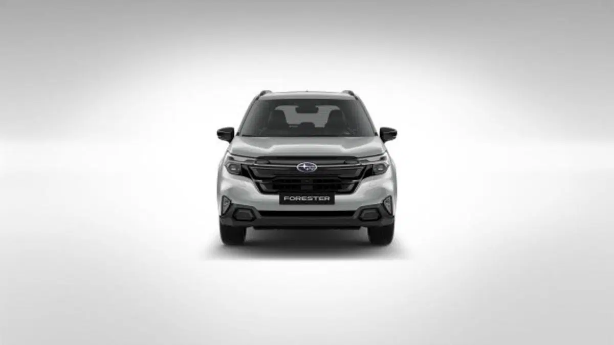 Subaru Forester nuova a Novara (2)