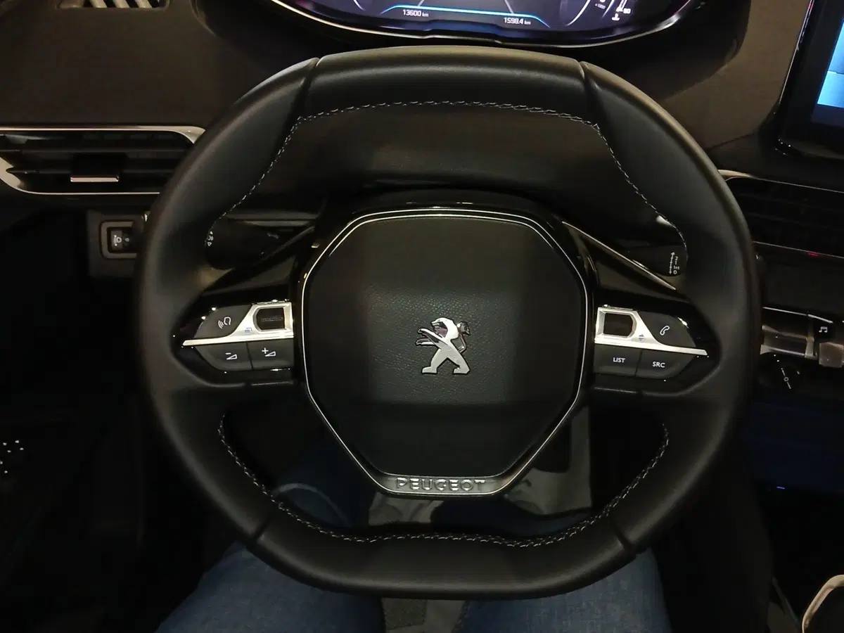 Peugeot 3008 usata a Genova (14)